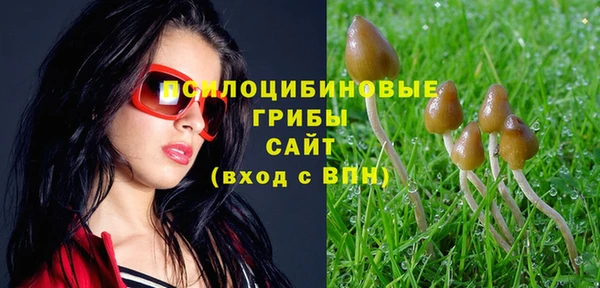 а пвп мука Алексин