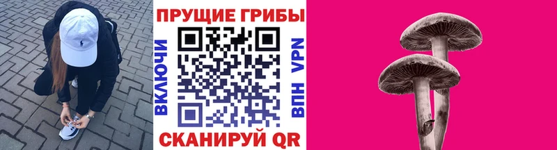 Псилоцибиновые грибы мухоморы  сколько стоит  Глазов 