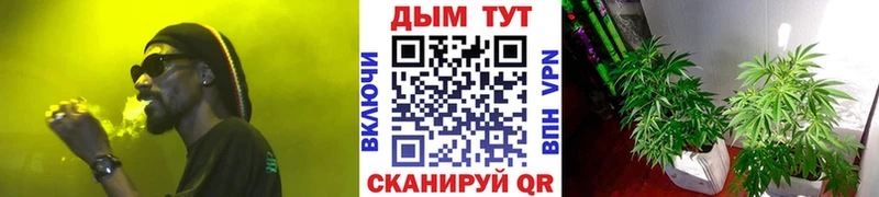 Каннабис VHQ  наркошоп  Глазов 